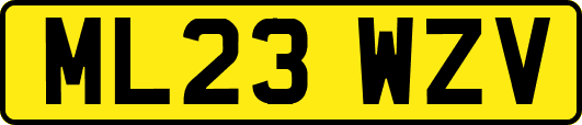 ML23WZV