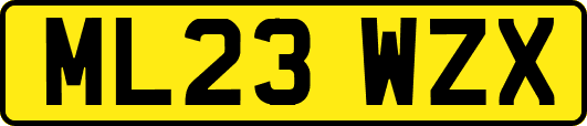 ML23WZX