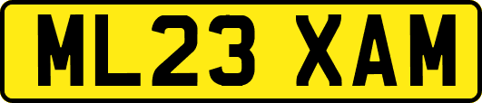 ML23XAM