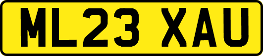 ML23XAU