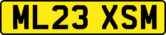 ML23XSM