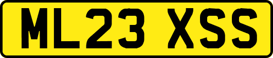 ML23XSS