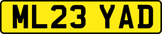 ML23YAD