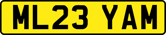 ML23YAM