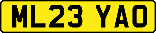 ML23YAO