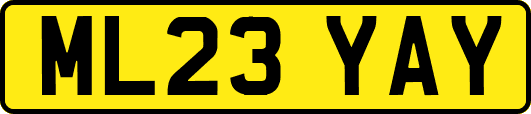 ML23YAY