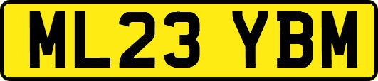 ML23YBM