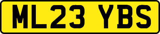 ML23YBS