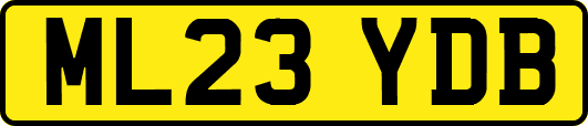ML23YDB