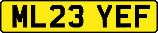 ML23YEF