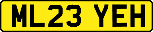ML23YEH
