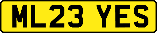ML23YES