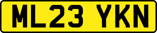 ML23YKN