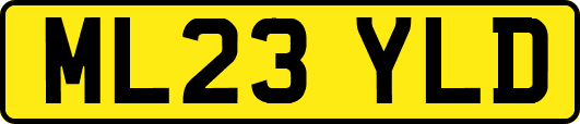 ML23YLD