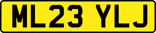 ML23YLJ