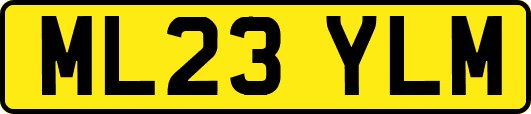 ML23YLM