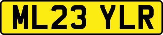 ML23YLR
