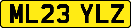 ML23YLZ