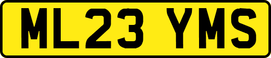 ML23YMS