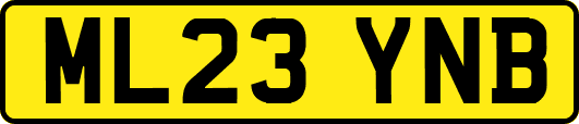 ML23YNB