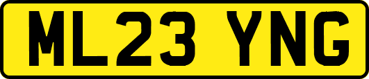 ML23YNG