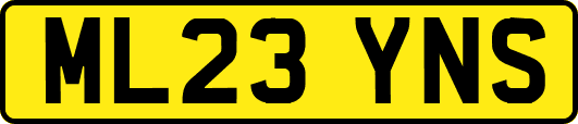 ML23YNS