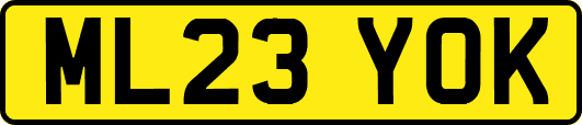 ML23YOK