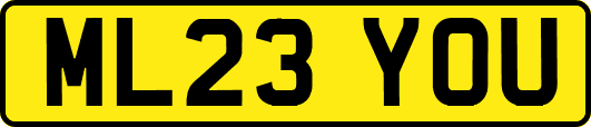 ML23YOU