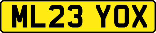 ML23YOX