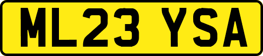 ML23YSA