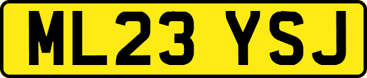 ML23YSJ