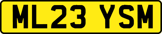 ML23YSM