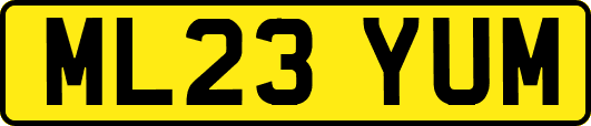 ML23YUM