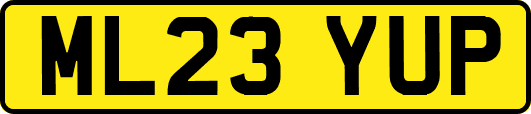 ML23YUP