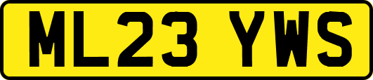 ML23YWS