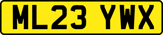ML23YWX