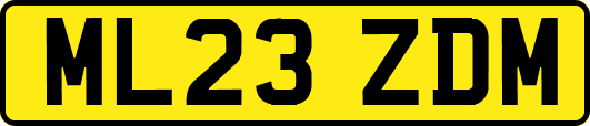 ML23ZDM