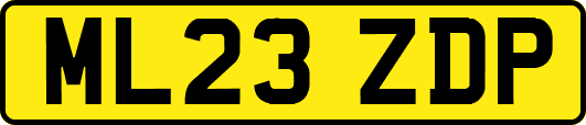 ML23ZDP