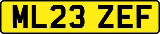 ML23ZEF