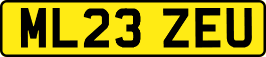 ML23ZEU