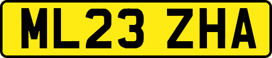 ML23ZHA