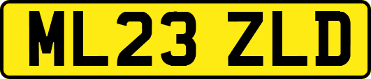 ML23ZLD