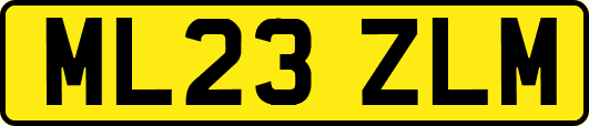 ML23ZLM