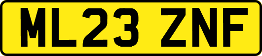 ML23ZNF