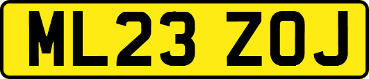 ML23ZOJ
