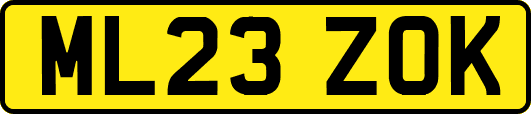 ML23ZOK