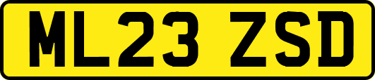 ML23ZSD