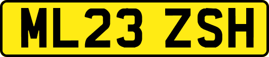 ML23ZSH