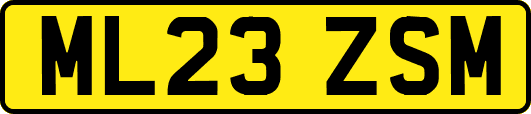 ML23ZSM