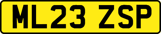 ML23ZSP